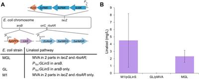 Bioproduction of Linalool From Paper Mill Waste